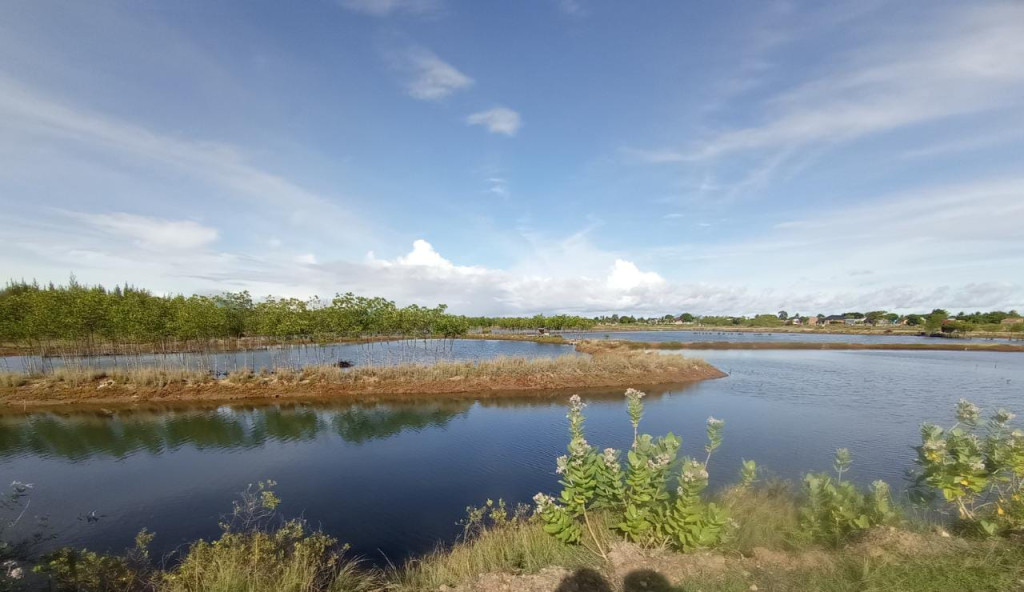 LAHAN TAMBAK GAMPONG TIBANG